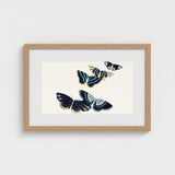 Japanese Blue Butterflies too - Kamisaka Sekka Art Print / Canvas Framed Artwork Four Intricately Illustrated Navy, Japan’s Artistic