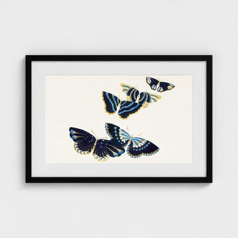 Japanese Blue Butterflies too - Kamisaka Sekka Art Print / Canvas Elegant Framed Artwork Four Intricately Illustrated Deep, Japan’s
