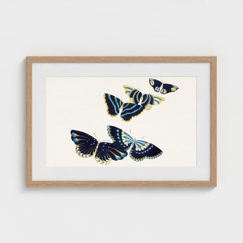 Japanese Blue Butterflies too - Kamisaka Sekka Art Print / Canvas Framed Artwork Four Intricately Illustrated Navy, Japan’s Artistic