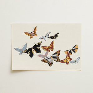 Japanese Butterflies - Kamisaka Sekka Kacho-e Art Print / Canvas, 18x12’’ / 46x31cm / Unframed / no Border, Posters Prints & Visual