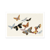 Japanese Butterflies - Kamisaka Sekka Kacho-e Art Print / Canvas, 18x12’’ / 46x31cm / Unframed / White Border, Posters Prints & Visual