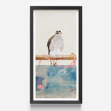 Framed Watercolor Painting Speckled Hawk Perched Wooden Branch Tosa Mitsuoki, Exquisite Woodblock Print, 19th-century Japanese Artistry