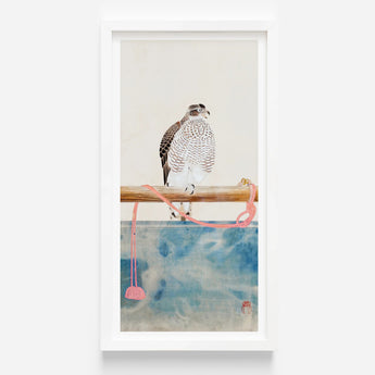 Watercolor Painting White Brown Falcon Perched Wooden Branch Tosa Mitsuoki, Exquisite Woodblock Print, 19th-century Japanese Artistry
