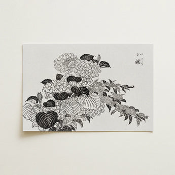 Black White Ink Illustration Hydrangeas Rectangular Card Japanese Hydrangea, Tachibana Yasukuni’s, Yasukuni Art, Print, Sumi
