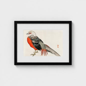Japanese Pheasant - Kono Bairei Kacho-e Bird Art Print / Canvas Kōno Bairei’s Majestic, Meiji-era Kacho-ga Artistry, Prints