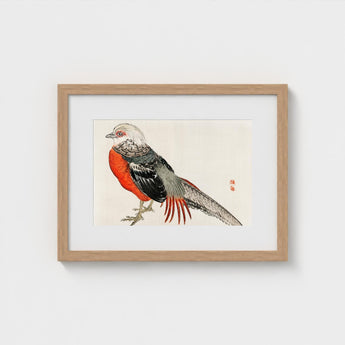 Japanese Pheasant - Kono Bairei Kacho-e Bird Art Print / Canvas Kōno Bairei’s Majestic, Meiji-era Kacho-ga Artistry, Prints