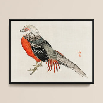 Japanese Pheasant - Kōno Bairei Kacho-e Bird Art Print / Canvas, 16x12’’ / 41x31cm / Black Frame, Posters Prints & Visual Artwork, Toby