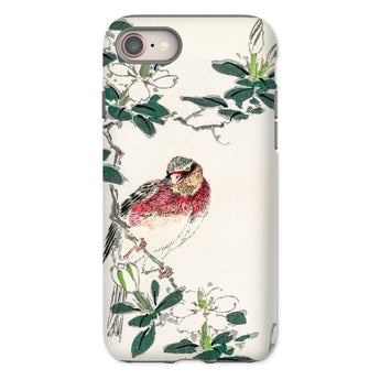 Japanese Rosefinch - Numata Kashu Phone Case Iphone 8 / Matte Phone Case Delicate Illustration Red-breasted Bird Perched Among Numata