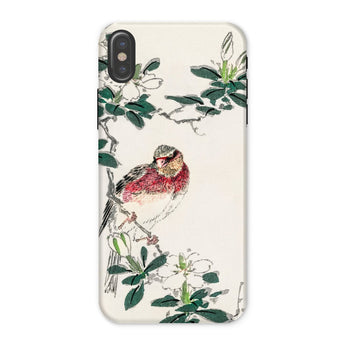 Japanese Rosefinch - Numata Kashu Phone Case Iphone x / Matte Phone Case Delicate Illustration Red-breasted Bird Perched Among Numata