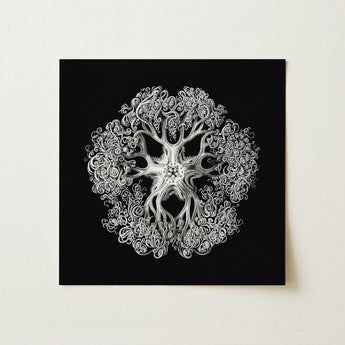 Jellyfish - Ernst Haeckel Ocean Life Art Print / Canvas, 12x12’’ / 31x31cm / Unframed / no Border, Posters Prints & Visual Artwork, Toby