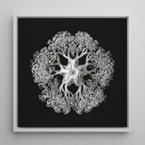 Jellyfish - Ernst Haeckel Ocean Life Art Print / Canvas, 12x12’’ / 31x31cm / White Frame, Posters Prints & Visual Artwork, Toby Leon