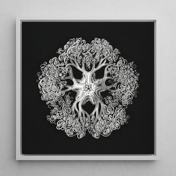 Jellyfish - Ernst Haeckel Ocean Life Art Print / Canvas, 12x12’’ / 31x31cm / White Frame, Posters Prints & Visual Artwork, Toby Leon