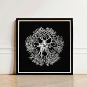Jellyfish - Ernst Haeckel Ocean Life Art Print / Canvas Black-framed Artwork Detailed White Line Ornate Symmetrical Mandala-like