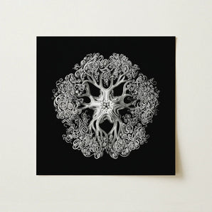 Jellyfish - Ernst Haeckel Ocean Life Art Print / Canvas Black Detailed Silver Etched Illustration Ornate Symmetrical Mesmerizing Ophiuroid,
