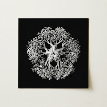 Jellyfish - Ernst Haeckel Ocean Life Art Print / Canvas Black Canvas Detailed Silver Etched Illustration Ornate Symmetrical Mesmerizing