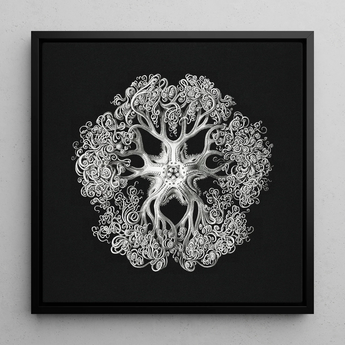 Jellyfish - Ernst Haeckel Ocean Life Art Print / Canvas Black-framed Artwork Detailed Silver-toned Intricate Design Ornate Sea Mesmerizing