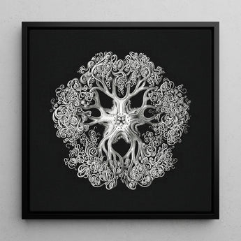 Jellyfish - Ernst Haeckel Ocean Life Art Print / Canvas Black-framed Artwork Detailed Silver-toned Intricate Design Ornate Sea Mesmerizing