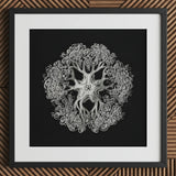 Jellyfish - Ernst Haeckel Ocean Life Art Print / Canvas Black-framed Artwork Intricate Silver-toned Mandala-like Design Black Background