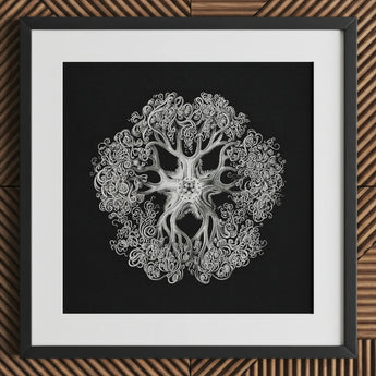 Jellyfish - Ernst Haeckel Ocean Life Art Print / Canvas Black-framed Artwork Intricate Silver-toned Mandala-like Design Black Background