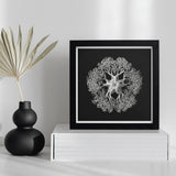 Jellyfish - Ernst Haeckel Ocean Life Art Print / Canvas Black White Framed Artwork Intricate Circular Design Mesmerizing Ophiuroid,