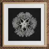 Jellyfish - Ernst Haeckel Ocean Life Art Print / Canvas Detailed Silver Etched Artwork Symmetrical Ornate Sea Star Mesmerizing Ophiuroid,
