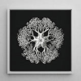 Jellyfish - Ernst Haeckel Ocean Life Art Print / Canvas Framed Black-and-white Artwork Intricate Symmetrical Design Stylized Sea