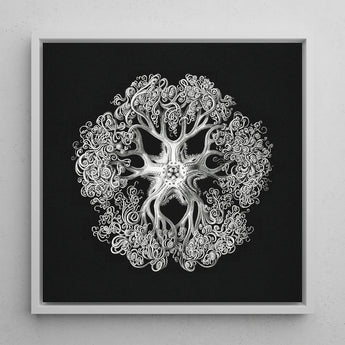 Jellyfish - Ernst Haeckel Ocean Life Art Print / Canvas Framed Black-and-white Artwork Intricate Symmetrical Design Stylized Sea