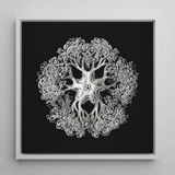 Jellyfish - Ernst Haeckel Ocean Life Art Print / Canvas Framed Black-and-white Artwork Intricate Symmetrical Design Stylized Sea
