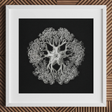 Jellyfish - Ernst Haeckel Ocean Life Art Print / Canvas White-framed Artwork Intricate Symmetrical Silver Stylized Tree Branches