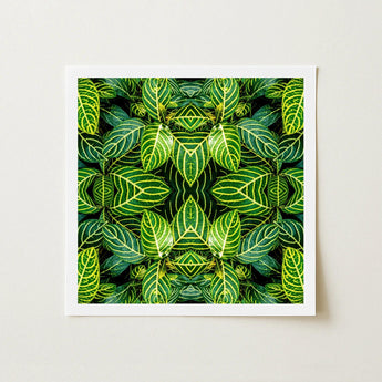 Just the Headlines - Trippy Fractal Leaf Art Print / Canvas Square-framed Botanical Symmetrical Kaleidoscopic Pattern Vibrant, Verdant