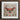 Vibrant Intricately Designed Papercraft Butterfly Pink Teal Wings King Dom Beetle, Alien Species Taxonomy, Xenoentomological Artistry