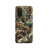 Lacertilia - Ernst Haeckel Lizard Taxonomy Phone Case, Samsung Galaxy S20 / Matte, Mobile Cases, Toby Leon