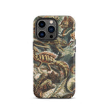 Lacertilia - Ernst Haeckel Lizard Taxonomy Phone Case Iphone 13 Pro / Matte Lizard-patterned Phone Case Ernst Haeckel Lizard, Lizard