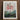 Framed Botanical Illustration Vibrant Red Feathery-flowered Tree Two Robert John Thornton, Large-flowering Sensitive Plant, Thornton’s