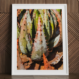 Layer Cake - Moderner botanischer Sukkulenten-Kunstdruck / Leinwand, 24x32’’ / 61x81cm / Weißer Rahmen / Passepartout, Poster Drucke & visuelle Kunstwerke,