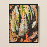 Layer Cake - Moderner botanischer Sukkulenten-Kunstdruck / Leinwand, 12x16’’ / 31x41cm / Schwarzer Rahmen, Poster Drucke & visuelle Kunstwerke, Toby Leon