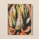 Layer Cake - Modern Botanical Succulent Art Print / Canvas, 12x16’’ / 31x41cm / Natural Frame, Posters Prints & Visual Artwork, Toby Leon