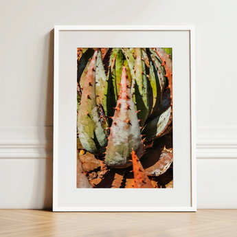 Layer Cake - Modern Botanical Succulent Art Print / Canvas, 12x16’’ / 31x41cm / White Frame / Matboard, Posters Prints & Visual Artwork,