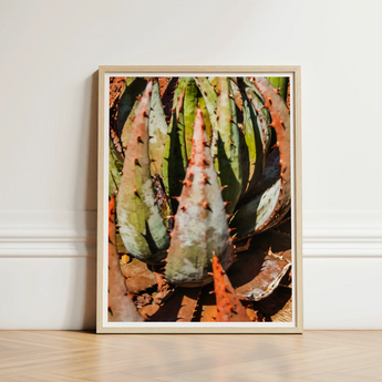 Framed Photograph Spiky Green Orange Succulent Plant Sharp Contemporary Botanical Artistry, Modern, Art