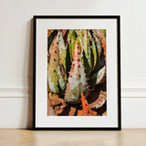 Layer Cake - Modern Botanical Succulent Art Print / Canvas Black-framed Close-up Spiky Green Reddish-orange Contemporary Artistry, Prints