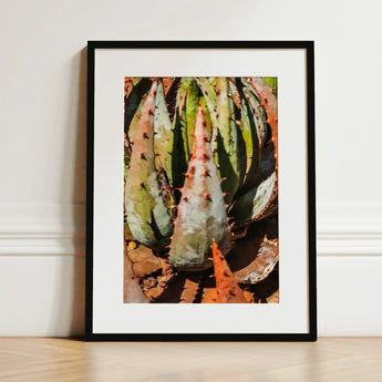 Layer Cake - Modern Botanical Succulent Art Print / Canvas Black-framed Close-up Spiky Green Reddish-orange Contemporary Artistry, Prints