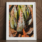 Layer Cake - Modern Botanical Succulent Art Print / Canvas Framed Photograph Spiky Green Reddish-orange Plant Aloe Contemporary Artistry,