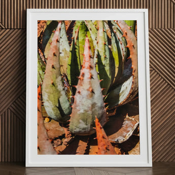 Layer Cake - Modern Botanical Succulent Art Print / Canvas Framed Photograph Spiky Green Reddish-orange Plant Aloe Contemporary Artistry,