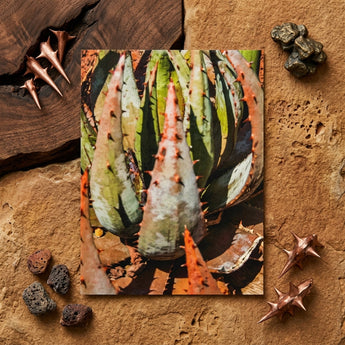 Layer Cake - Modern Botanical Succulent Art Print / Canvas Rectangular Photograph Close-up Spiky Green Orange-hued Agave Plants