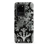 Lichenes Flechten - Ernst Haeckel Phone Case, Samsung Galaxy S20 Ultra / Matte, Mobile Cases, Toby Leon