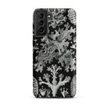 Lichenes Flechten - Ernst Haeckel Phone Case, Samsung Galaxy S21 Plus / Matte, Mobile Cases, Toby Leon