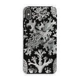 Lichenes Flechten – Ernst Haeckel iPhone-Hülle, Xs Max / Matt, Handyhüllen, Toby Leon