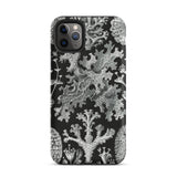 Lichenes Flechten - Ernst Haeckel Phone Case Iphone 11 Pro Max / Matte Black Phone Case Lichen Pattern Haeckel Iphone Case, Ancient Stones,