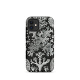 Lichenes Flechten - Ernst Haeckel Phone Case Iphone 12 Mini / Matte Black Phone Case Lichen Pattern Haeckel Iphone Case, Ancient Stones,
