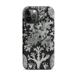 Lichenes Flechten - Ernst Haeckel Phone Case Iphone 12 Pro Max / Matte Black Phone Case Lichen Pattern Haeckel Iphone Case, Ancient Stones,